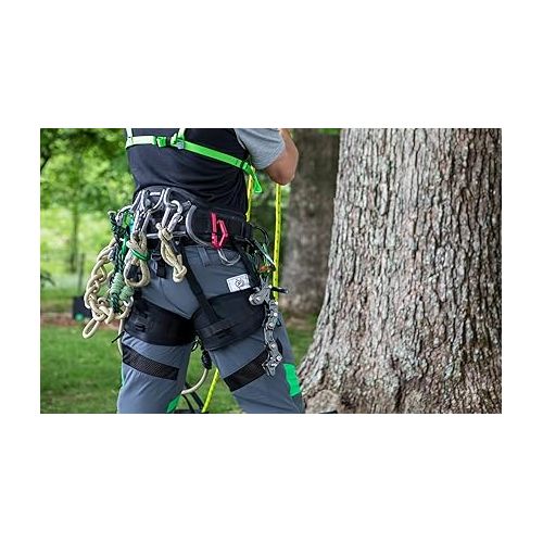  Notch Black Sentinel Harness (BSNTL)