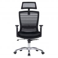 Novelland Ergonomic Reclines Office Chair with Adjustable Lumbar Support and Rollerblade Wheels - High Back with Breathable Mesh - Adjustable Head & Arm Rests