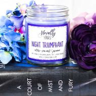 NovellyYours Night Triumphant | 9oz jar | Rhysand, A Court of Mist and Fury Inspired Soy Candle | Book Candle | Bookish Gift