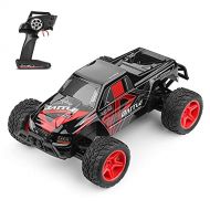 Nsddm 1/10 Sacle Large Size RC Car, 4WD Electric Clmbing Truck, 30KM/H Off-Road Vehicle, Waterproof/Shockproof, 2.4GGHz Remote Control Cars, RTR Hobby Toy Car for Adults and Kids