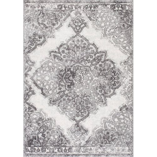  NuLOOM nuLOOM RZBD37A Grey Vintage Medallion Rosendo Area Rug, 8 x 10, Grey