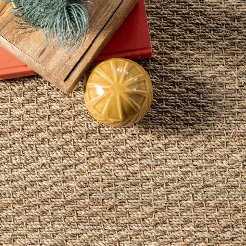  NuLOOM nuLOOM Elijah Seagrass with Border Area Rug, Beige, 6 x 9