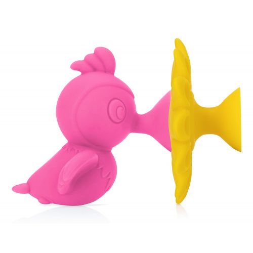  Nuby Silly Hummingbird & Flower Interactive Suction Toys with Built-in Rattle, 2Piece, Pink