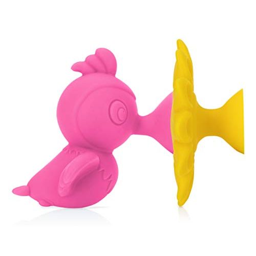  Nuby Silly Hummingbird & Flower Interactive Suction Toys with Built-in Rattle, 2Piece, Pink