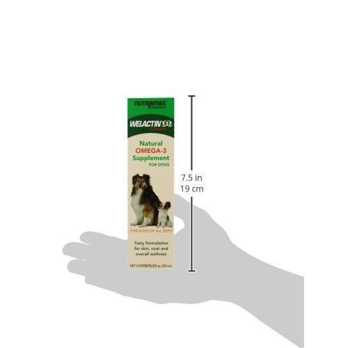  Nutramax Laboratories Nutramax Welactin for Dogs