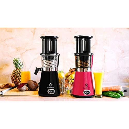  NUTRILOVERS NUTRI-PRESS Slow Juicer Entsafter mit 2 Einfuelloeffnungen | Elektrische Obst & Gemuese Saftpresse | BPA-Frei | Geringe Drehzahl nur 60 U/min | Glas-Trinkflasche & Reinigungsbuerste