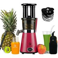 NUTRILOVERS Slow Juicer Entsafter mit 2 Einfuelloeffnungen | Elektrische Obst & Gemuese Saftpresse | BPA-Frei | Geringe Drehzahl nur 60 U/min - 350 Watt | Glas-Trinkflasche & Reinigun