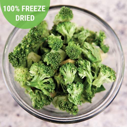  Nutristore Freeze Dried Broccoli 20 Servings 5.64 OZ 25 Year Shelf Life Amazing Taste Healthy Snack Emergency and Survival Food