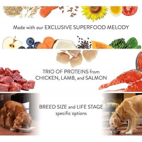  Nutro Ultra Weight Management Adult Dry Dog Food