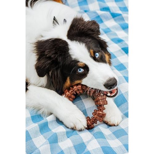  Nylabone Power Chew Textured Dog Chew Ring Toy, Dog Toys for Aggressive Chewers, Flavor Medley, X-Large/Souper (1 Count)