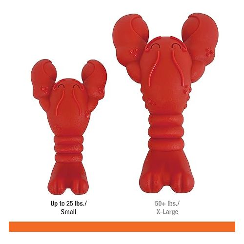  NYLABONE Lobster Dog Toy Power Chew - Cute Dog Toys for Aggressive Chewers - with a Funny Twist! Filet Mignon Flavor, Small/Regular