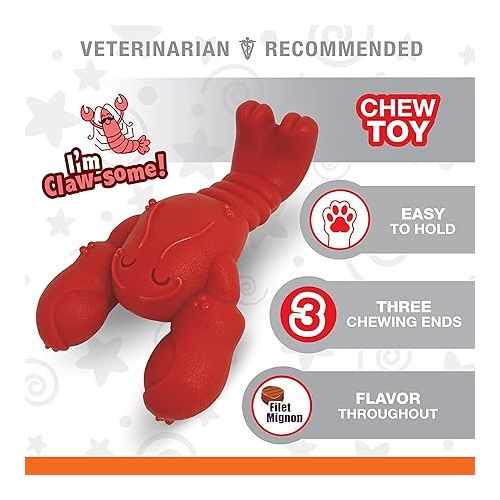  NYLABONE Lobster Dog Toy Power Chew - Cute Dog Toys for Aggressive Chewers - with a Funny Twist! Filet Mignon Flavor, Small/Regular