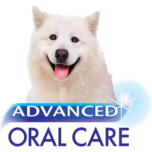  Nylabone Advanced Oral Care 4 oz Dog Dental Spray