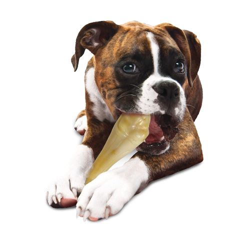  Nylabone Big Chew Durable Toy Bone for Large Breeds