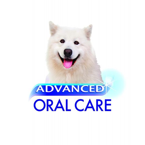  Nylabone Advanced Oral Liquid Tartar Remover Dog Health Supplies