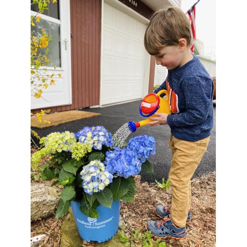  O Spielstabil Spielstabil Classic Yellow Watering Can - with 2 Handles for Ages 18 Months and Up - Holds 1 Liter (Made in Germany)