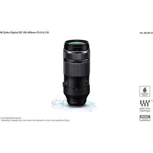  Olympus M.Zuiko Digital ED 100-400mm F5.0-6.3 IS Lens