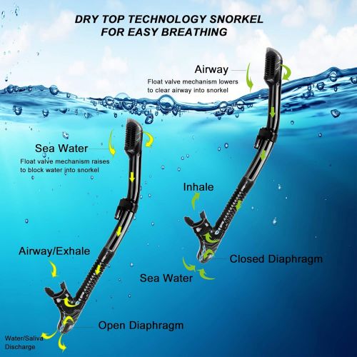  OMYAFL Adult Youth Dry Snorkel Set,Foldable Dry Snorkel Set and 180°Panoramic Wide View for Snorkeling, Swimming and Scuba Diving,Free Breathing&Easy Adjustable Strap Snorkel Set