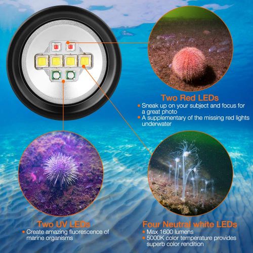  ORCATORCH D820V Compact Diving Video Light with White UV Red Light, 120 Degrees Super Wide Floodlighting, USB Charging, Side Button Switch, for Underwater Photography, Fluorescent