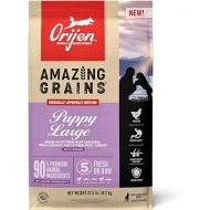 ORIJEN AMAZING GRAINS Puppy Large Dry Dog Food, High Protein Dog Food for Large and Giant Puppy Breeds, Fresh or Raw Ingredients, 22.5lb
