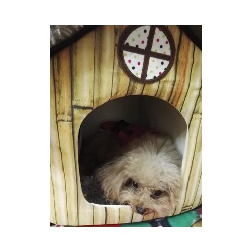  OSPet Portable Dog House Warm And Cozy Indoor / Outdoor, Great For Dogs, Cats, Kittens, Puppies, and Rabbits