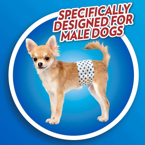  OUT! Disposable Male Dog Diapers | Ultra-Absorbent, Leak-Proof Disposable Wraps | 8 Packs (96 Total Diapers)