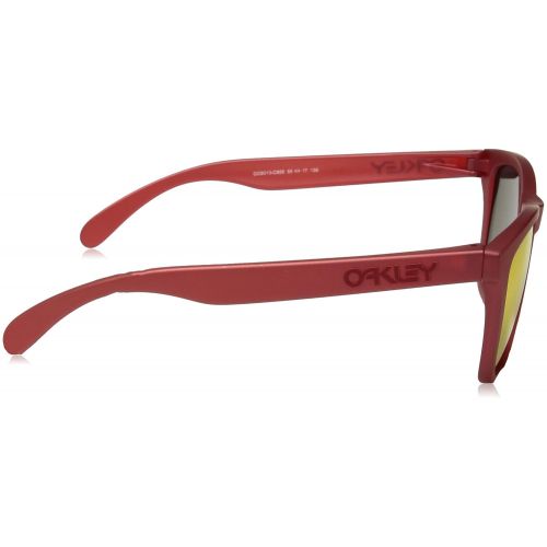 오클리 Oakley Mens Frogskins 009013 Wayfarer Sunglasses