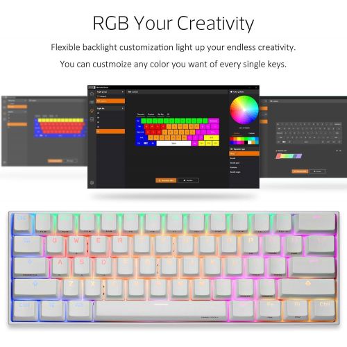  Obinslab Anne 2 Pro Mechanical Gaming Keyboard 60% True RGB Backlit - Wired/Wireless Bluetooth 4.0 PBT Type-c Up to 8 Hours Extended Battery Life, Full Keys Programmable (Gateron B