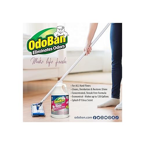 OdoBan Pet Solutions Neutral pH Floor Cleaner Concentrate, 1 Gallon, and Oxy Stain Remover, 32 Ounce Spray