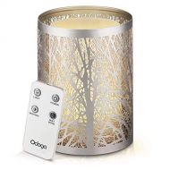 Odoga Aromatherapy Essential Oil Diffuser, 100 ml Ultrasonic Whisper Quiet Cool Mist Humidifier with Warm White Color Candle Light Effect, Decorative Silver Iron Cover & Remote Con