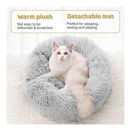  Cat Tunnel Bed with Soft Central Cat Couch and 20 Cat Toys, Big Tube Pet Tunnels with Hanging Balls, Cat Donut Tunnel and Variety Kitty Toy Set for Chewing Playing Indoor