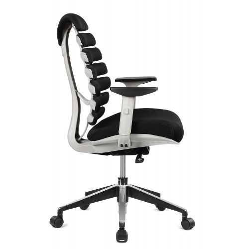  ERGO HQ Executive Office Chair Mid-Back Fabric Mesh Chair with Chrome Base and Adjustable Seat and Arm Rest (Black)