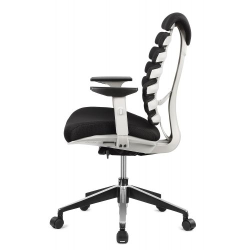  ERGO HQ Executive Office Chair Mid-Back Fabric Mesh Chair with Chrome Base and Adjustable Seat and Arm Rest (Black)