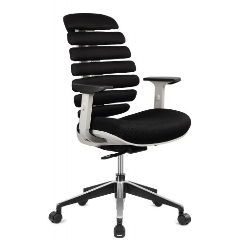  ERGO HQ Executive Office Chair Mid-Back Fabric Mesh Chair with Chrome Base and Adjustable Seat and Arm Rest (Black)