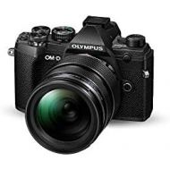 Olympus OM-D E-M5 Mark III System Camera