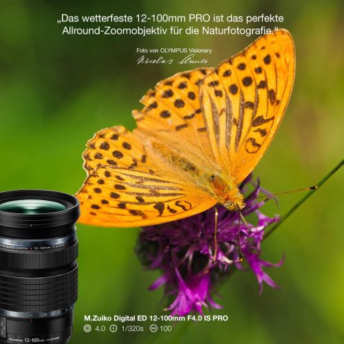  [아마존베스트]Olympus M. Zuiko Digital ED 12-100 mm F4 IS Pro Lens, Suitable for All MFT Cameras (Olympus OM-D & PEN Models, Panasonic G Series), Black