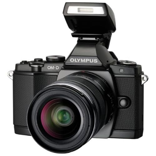  Olympus FL-LM2