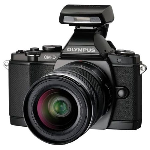  Olympus FL-LM2