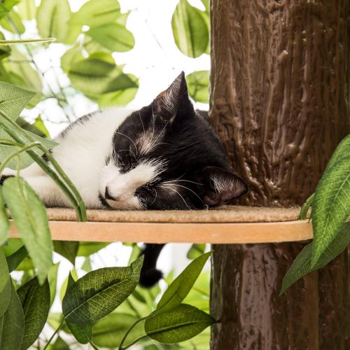  On2Pets CatHaven Cat Condo