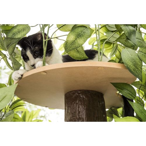  On2Pets CatHaven Cat Condo