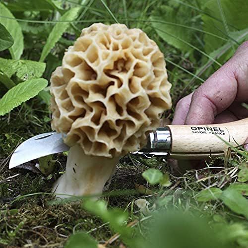  [아마존베스트]Opinel Mushroom Knife, Sandvik Stainless Steel Blade, Oak Wood Handle, Wild Boar Bristles, Canvas Case, Wooden Box