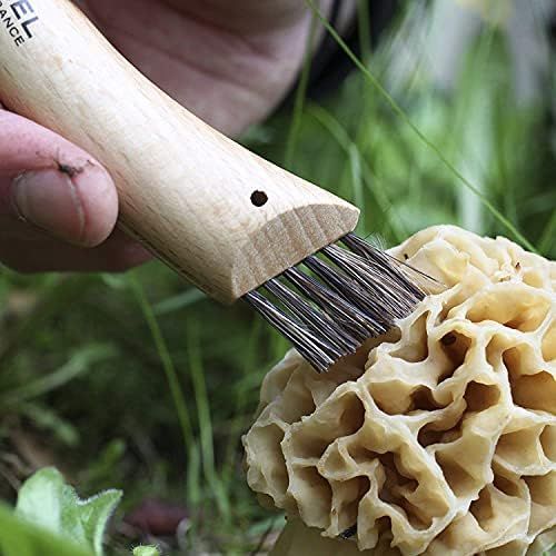  [아마존베스트]Opinel Mushroom Knife, Sandvik Stainless Steel Blade, Oak Wood Handle, Wild Boar Bristles, Canvas Case, Wooden Box