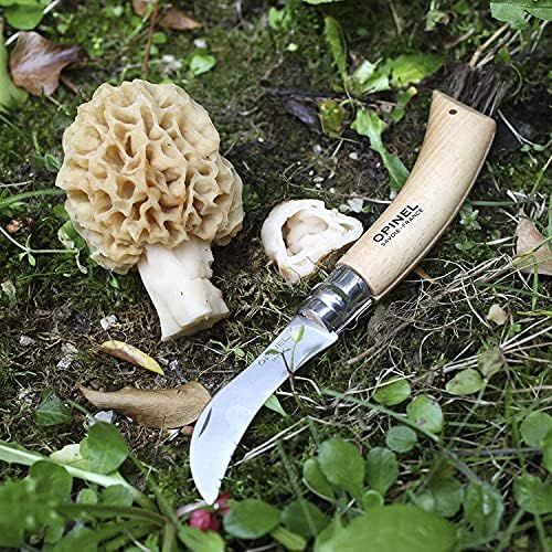  [아마존베스트]Opinel Mushroom Knife, Sandvik Stainless Steel Blade, Oak Wood Handle, Wild Boar Bristles, Canvas Case, Wooden Box