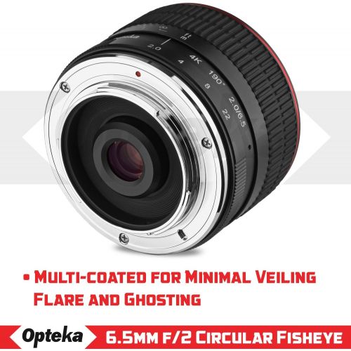  Opteka 6.5mm f2 HD MC Manual Focus Fisheye Lens for Olympus Micro 43 Mount Digital Cameras