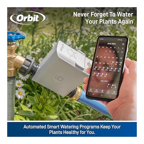  Orbit 21004 B-hyve Smart Hose Faucet Timer with Wi-Fi Hub, Compatible with Alexa,Gray
