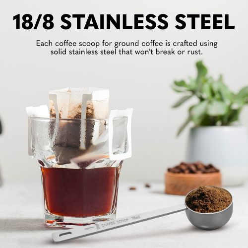  Orblue Coffee Scoop, Stainless Steel, long handled Spoons, Pack of 2
