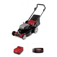 Oregon 591078 Lawnmower Kit, Red/Black