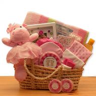 Organic Stores For a Precious New Baby Girl Gift Basket - Great Shower Gift Idea for Newborns