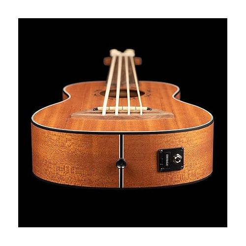  Ortega Guitars 4 String Lizard Series Fretless Acoustic-Electric Uke-Bass w/Bag, Right (LIZZY-BSFL-GB)