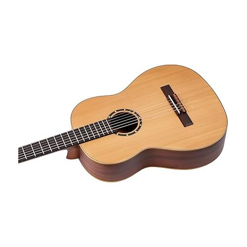  Ortega Guitars 6 String Family Series Pro Solid Top Slim Neck Nylon Classical Guitar w/Bag, Right (R131SN)